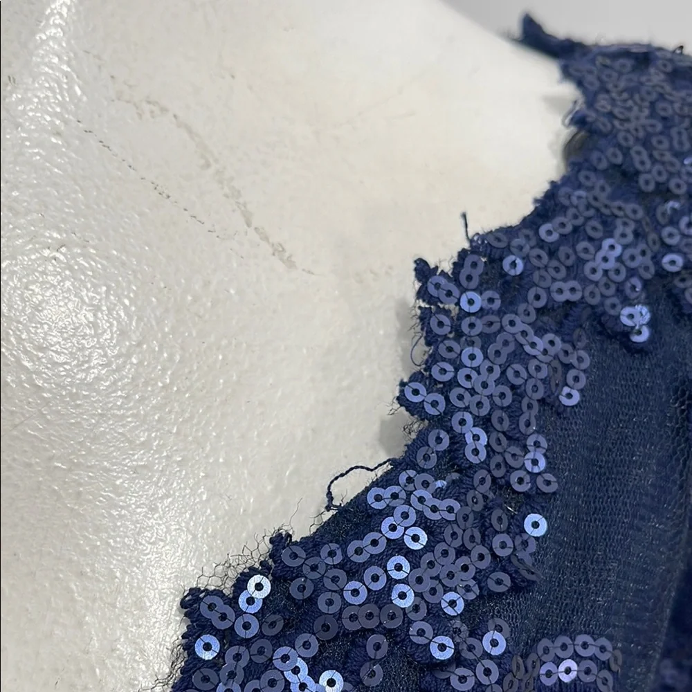 Tadashi Shoji Too Navy Embroidered Lace Evening Gown Tulle Skirt Size 16 Q NWT - Picture 9 of 16